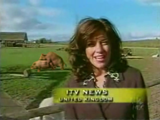 One of more than 150 local-news-related blunders, flubs, and gaffes Lessner had to work with.